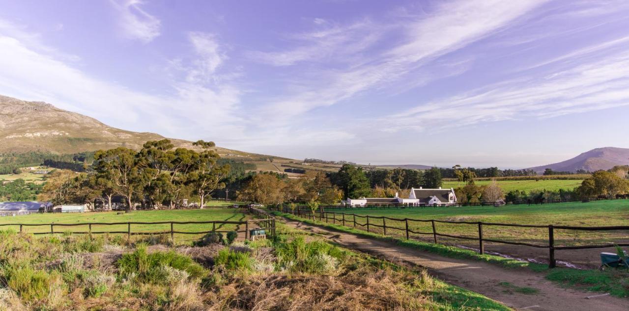 Hotel Hemel 'N Aarde Stud Hermanus Exteriér fotografie