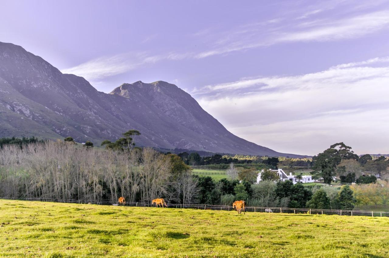 Hotel Hemel 'N Aarde Stud Hermanus Exteriér fotografie